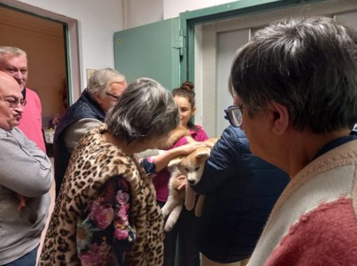 Alcune immagini della giornata Alcune immagini della giornata