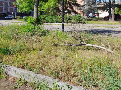 &quot;Dopo un mese nulla è cambiato: e pensare che a volte  basta davvero poco&quot;