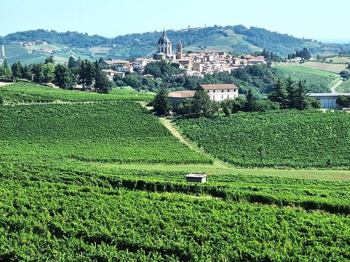 Fontanile e Maranzana protagoniste delle "Giornate FAI d'Autunno 2024" Fontanile e Maranzana protagoniste delle "Giornate FAI d'Autunno 2024"