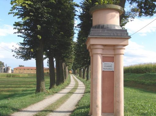 Mais e soia: una giornata dimostrativa alla Fondazione Podere Pignatelli