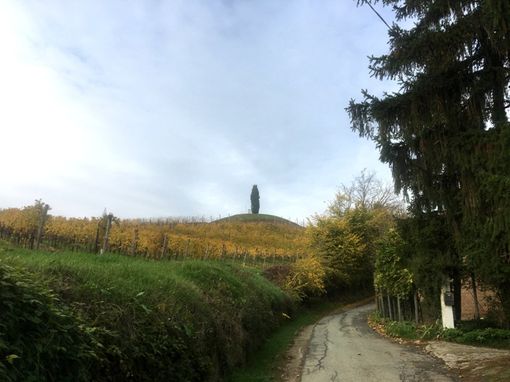 Bricco della Cremosina a Nizza