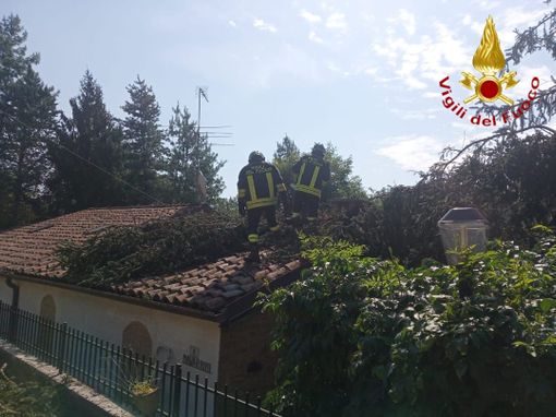 Danni da maltempo: rimosso dai vigili del fuoco un pino caduto su un tetto Danni da maltempo: rimosso dai vigili del fuoco un pino caduto su un tetto