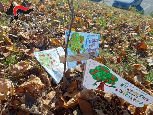 I carabinieri forestali celebrano la festa dell'albero in 4 istituti astigiani I carabinieri forestali celebrano la festa dell'albero in 4 istituti astigiani