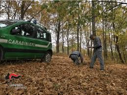 Trappola causa lesioni ad un cane durante addestramento di caccia. I carabinieri della Forestale di Canelli la sequestrano. Si cerca il responsabile