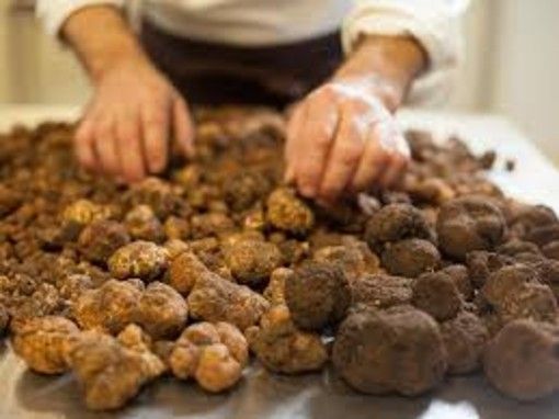 Con Tuber Primae Noctis si rinnova l'appuntamento con il "Capodanno del tartufo" Con Tuber Primae Noctis si rinnova l'appuntamento con il "Capodanno del tartufo"