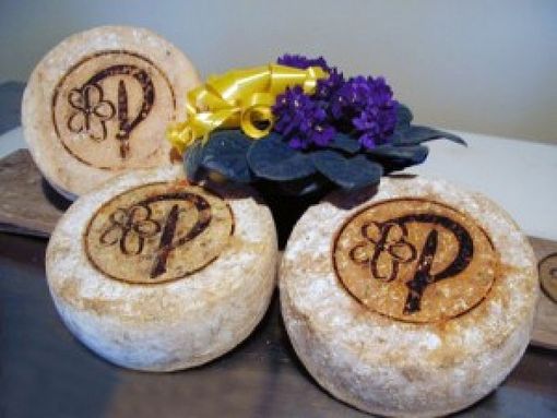 Il Plaisentif o formaggio delle viole