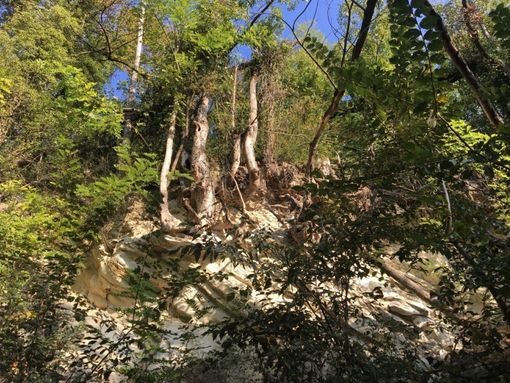 Sorpresa di Ferragosto per la mensa sociale di Asti da parte del Lions Club Alfieri