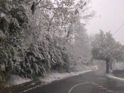 Prima 'imbiancata' a Roccaverano (immagine dal canale Telegram Dati Meteo Asti)
