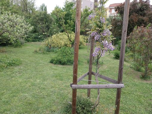 Con il FAI alla scoperta del "Giardino segreto di Arianna", nelle domeniche 12 e 19 maggio Con il FAI alla scoperta del "Giardino segreto di Arianna", nelle domeniche 12 e 19 maggio