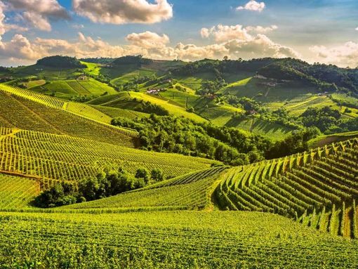UNESCO e Turismo: Nizza e Canelli tra i centri trainanti della crescita nel Piemonte vitivinicolo