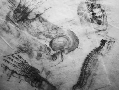 Dall'influenza spagnola alle mummie di Fara Sabina: esperti di tutta Italia a Rocca d'Arazzo per discutere delle malattie del passato Dall'influenza spagnola alle mummie di Fara Sabina: esperti di tutta Italia a Rocca d'Arazzo per discutere delle malattie del passato