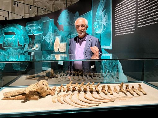 Il sindaco Marchese e il delfino a Palazzo Madama