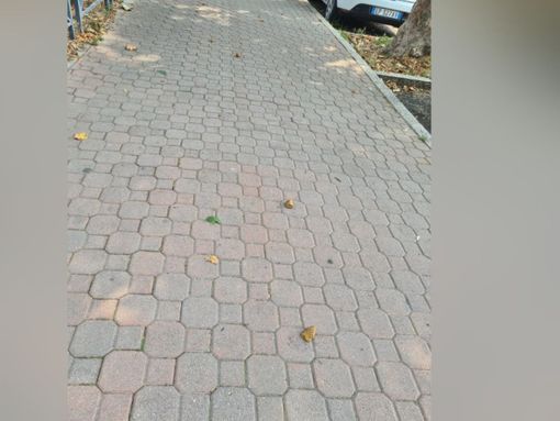 La foto inviataci dalla nostra lettrice con il marciapiede imbrattato di deiezioni canine