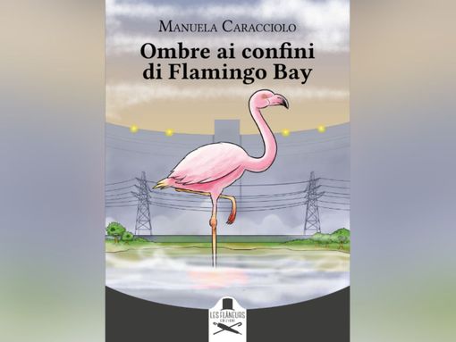 La copertina del romanzo