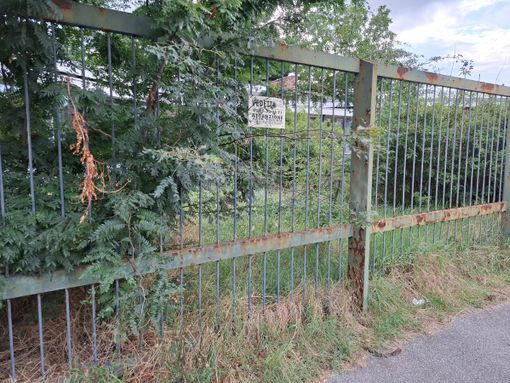 Le immagini allegate all'interpellanza Le immagini allegate all'interpellanza