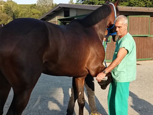 Ph Merphefoto Ph Merphefoto