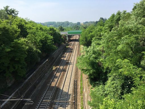 La Torino-Genova a Solbrito dove potrebbe essere stato trovato il mastodonte