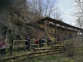 Domenica un appuntamento per scoprire il fascino dei fossili