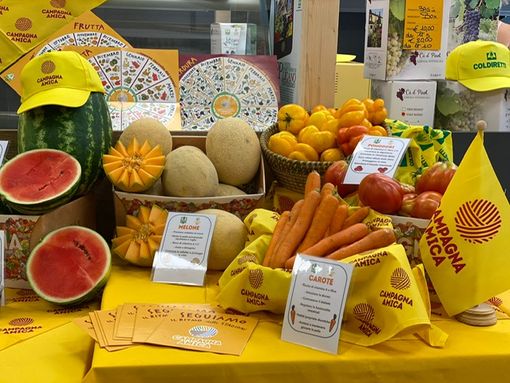 Astigiani di ogni età in coda per gli assaggi di AgriMacedonia Astigiani di ogni età in coda per gli assaggi di AgriMacedonia