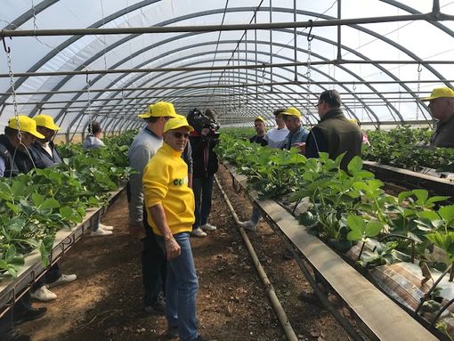 Coldiretti Asti è l'orticola 4.0 tra le più innovative e di nuova frontiera Coldiretti Asti è l'orticola 4.0 tra le più innovative e di nuova frontiera