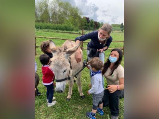 Uno degli asini insieme ad alcuni bambini in visita al lago Uno degli asini insieme ad alcuni bambini in visita al lago