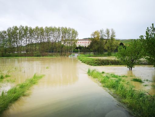 Costigliole: precipita in un fosso con il deltaplano. Ferito un uomo