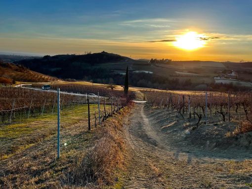 L'immagine della campagna astigiana vincitrice del nostro contest fotografico - Scatto inviato da Federica Filippello
