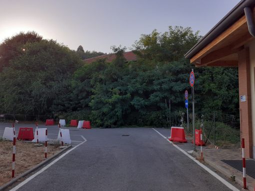 Vegetazione "selvaggia" alla Casa della salute Vegetazione "selvaggia" alla Casa della salute