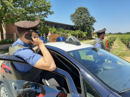 Vendemmia nell'Astigiano: controlli intensificati da parte del Nucleo ispettivo misto