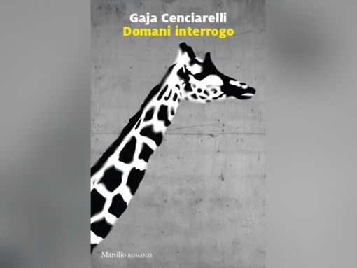 La copertina del romanzo "Domani interrogo" La copertina del romanzo "Domani interrogo"