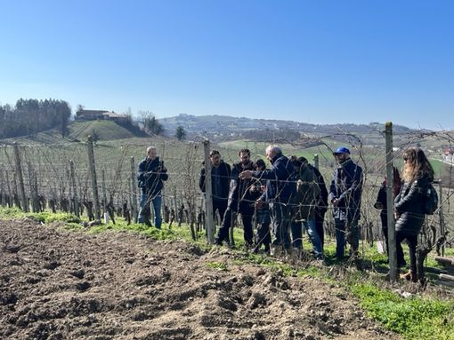A Castagnole delle Lanze Festa della potatura e nuova stagione di "Adotta un filare nelle Lanze"