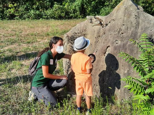 Riprendono gli appuntamenti per famiglie a cura del Museo Paleontologico