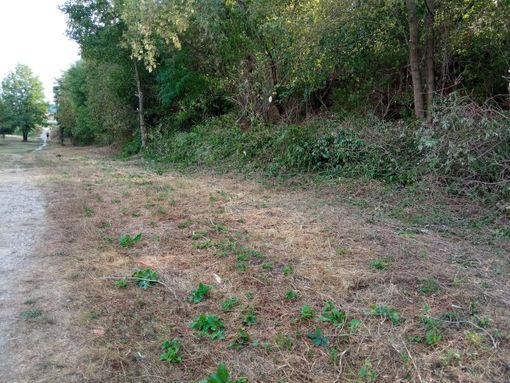 L'area oggetto di intervento L'area oggetto di intervento