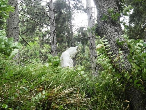Colline d’arte: al Parco Quarelli di Roccaverano la prima edizione Colline d’arte: al Parco Quarelli di Roccaverano la prima edizione