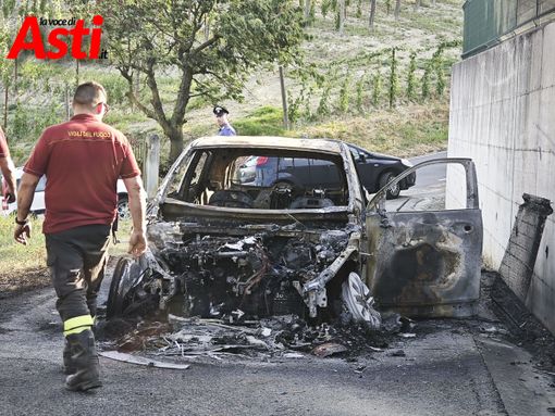 Ph. Valeria Guglielmi