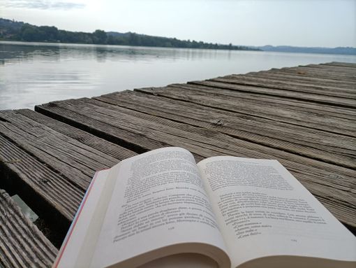 Per scoprire un territorio, anche un buon libro può essere di grande aiuto... (servizio a cura di Giulia Nicora) Per scoprire un territorio, anche un buon libro può essere di grande aiuto... (servizio a cura di Giulia Nicora)