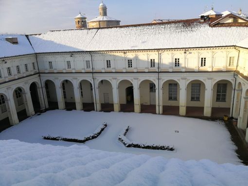 Il Natale è anche al Museo Paleontologico di Asti tra asinelli e fossili Il Natale è anche al Museo Paleontologico di Asti tra asinelli e fossili