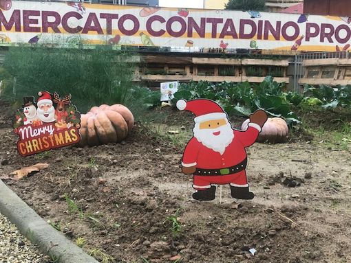 Il Natale arriva anche al Mercato contadino di Campagna amica per il suo primo compleanno