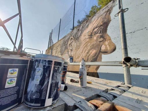 Da muro a murales: domani a Cortandone l'incontro tra arte e paleontologia