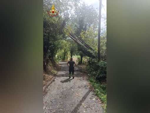 Oggi sedici interventi dei Vigili del Fuoco di Asti conseguenza del maltempo dei giorni scorsi