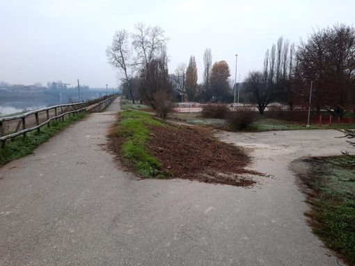 Iniziati gli interventi di messa in sicurezza sul Tanaro. Si parte con la sistemazione degli argini