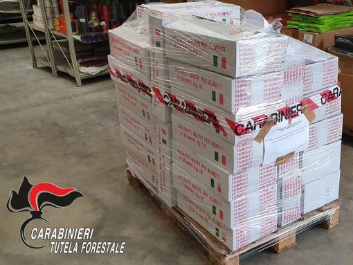 Commerciante all'ingrosso astigiano sanzionato per 5.000 euro dai Carabinieri forestali