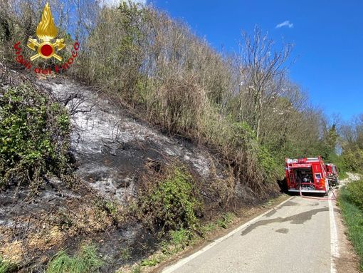 Sessant: a fuoco sterpaglie in un bosco. Coinvolti mille metri quadri di terreno Sessant: a fuoco sterpaglie in un bosco. Coinvolti mille metri quadri di terreno