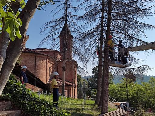 Protezione civile: a Serravalle intervento di abbattimento piante ad alto fusto