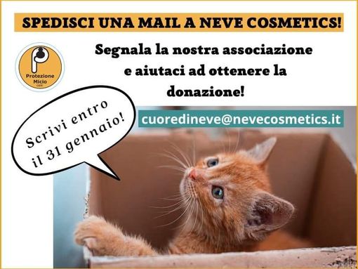 Con una semplice mail sarà possibile sostenere l'associazione Protezione Micio Con una semplice mail sarà possibile sostenere l'associazione Protezione Micio