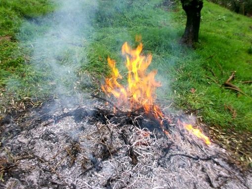 Domenica scatterà in tutto il Piemonte il divieto di bruciare materiale vegetale