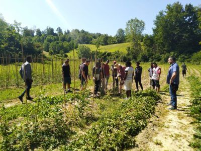 Buone pratiche per l'agricoltura sociale. Un progetto del PIAM di Asti Buone pratiche per l'agricoltura sociale. Un progetto del PIAM di Asti