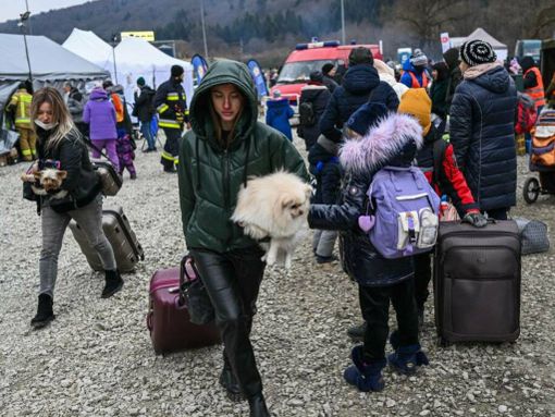 Anche ad Asti attivi i veterinari per gli animali in fuga dalla guerra con i profughi
