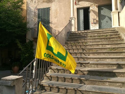 Ragazzi dipendenti da merendine ed energy drinks, Coldiretti lancia l'allarme Ragazzi dipendenti da merendine ed energy drinks, Coldiretti lancia l'allarme