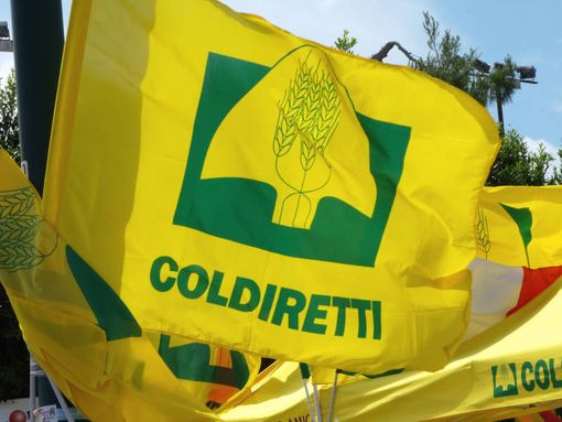 Arriva a Milano il Villaggio contadino della Coldiretti